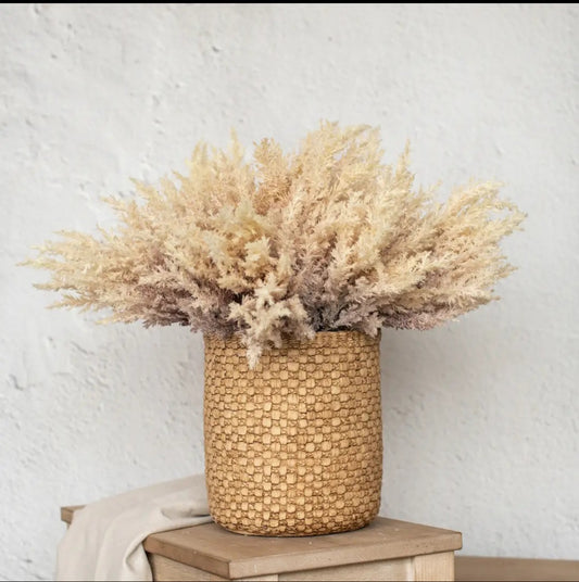 Cream and Purple Pampas Grass Bundle