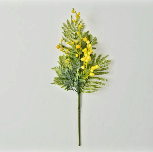 Acacia Fern Foliage Pick