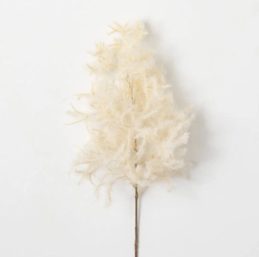 Alabaster Cream Cotinus Spray