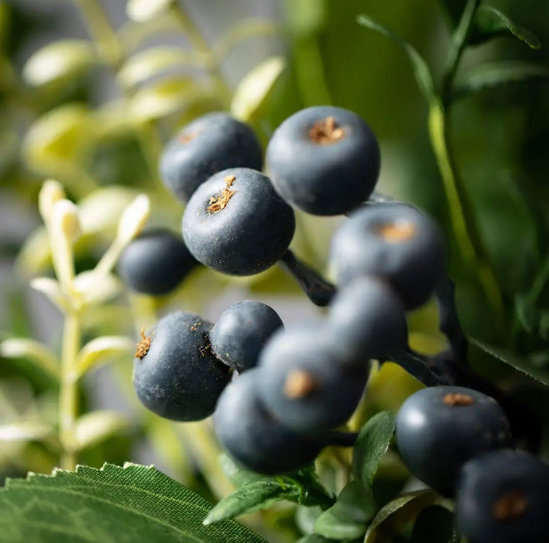 Green Leaf Blueberry Orb