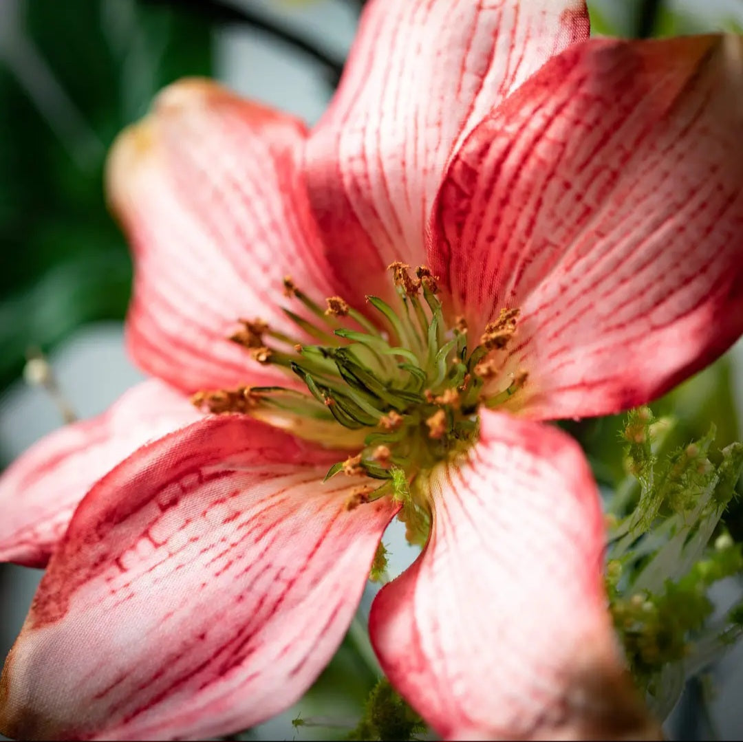 Pleasing Pink Clematis Spray