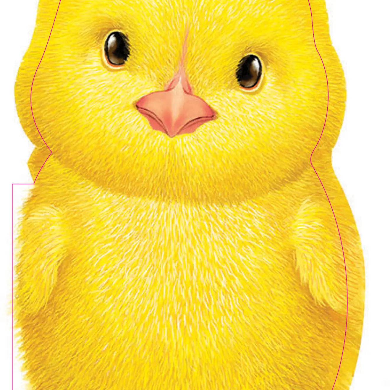 Furry Chick- Boardbook